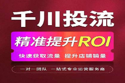 初学者的百度竞价推广：成功案例揭秘